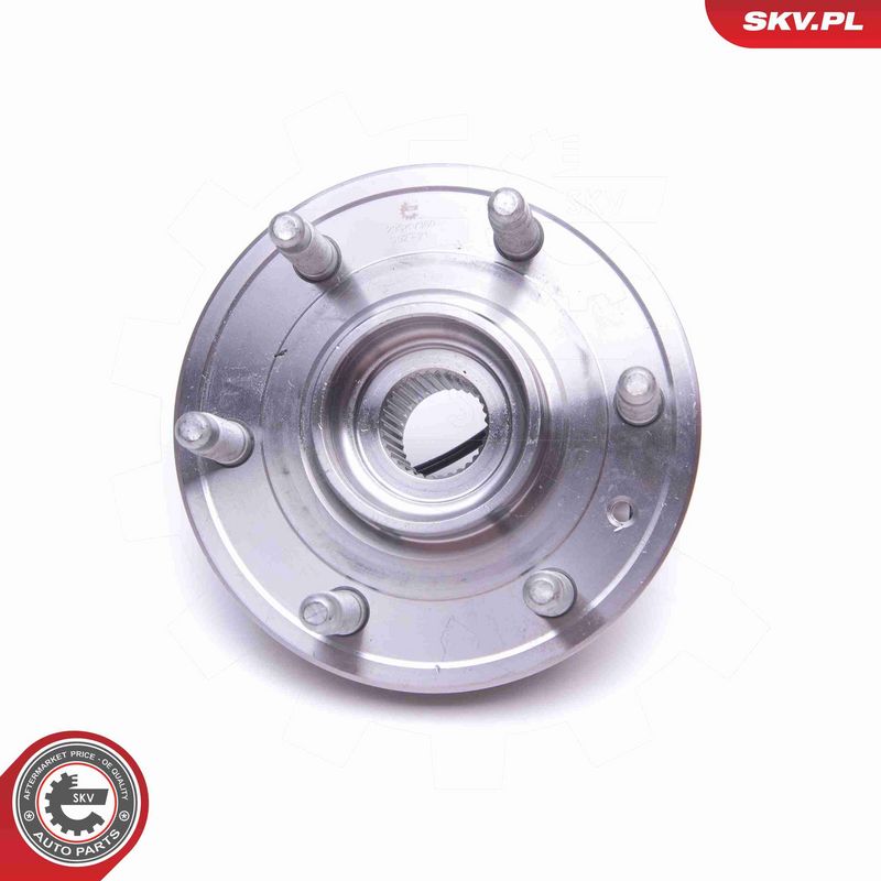 ESEN SKV 29SKV360 Wheel Bearing Kit