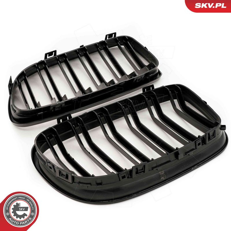 Radiaatorivõre, ESEN SKV 66SKV101