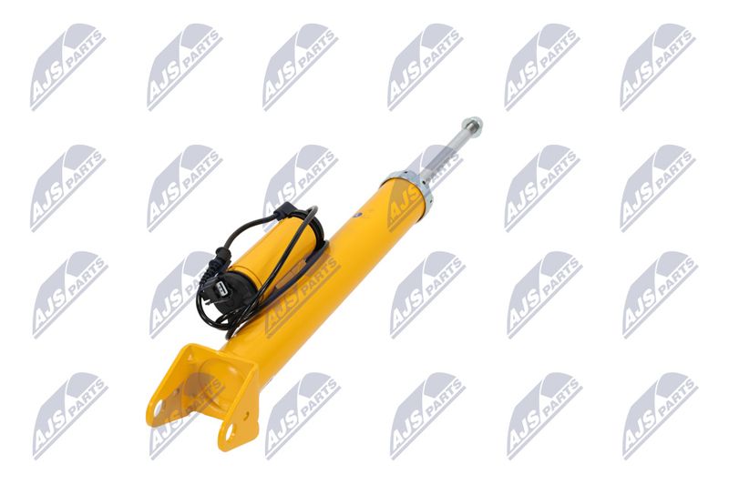 Amort, NTY A-CH-102
