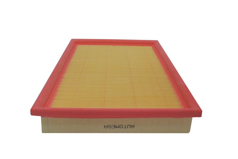 AUTOMEGA 180021010 Air Filter