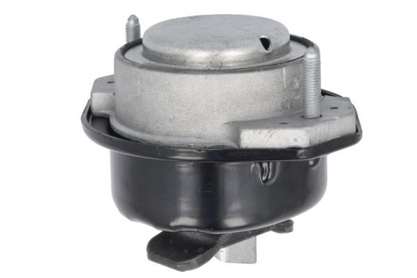 REINHOCH RH11-3109 Mounting, engine