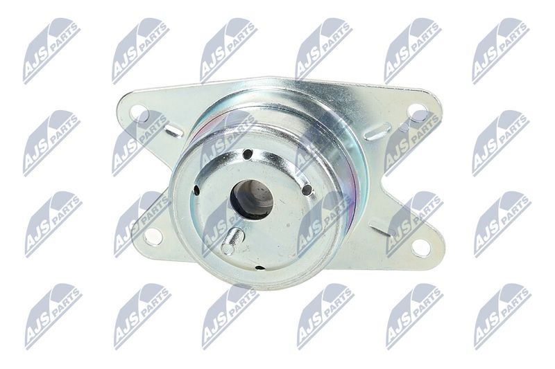 Paigutus, Mootor, NTY ZPS-PL-075