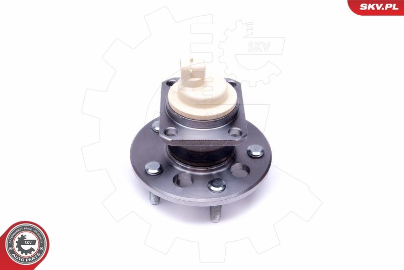 ESEN SKV 29SKV377 Wheel Bearing Kit