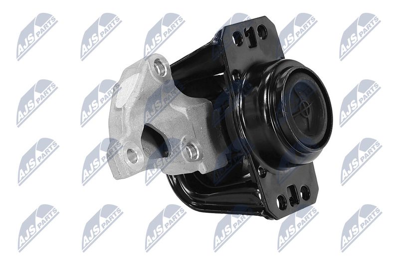 Paigutus, Mootor, NTY ZPS-PE-012