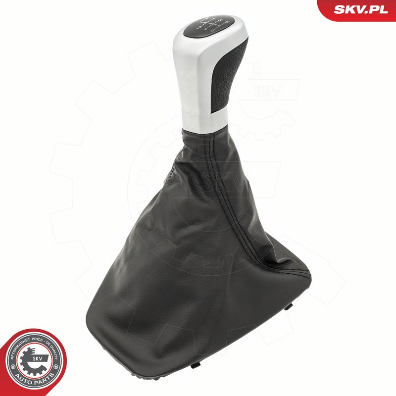 Käigukanginupp, ESEN SKV...