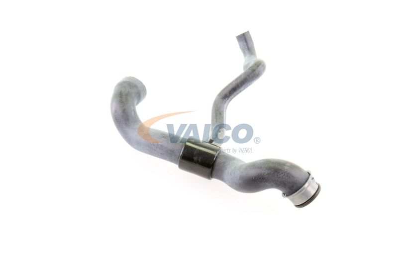 VAICO V30-1660 Radiator Hose