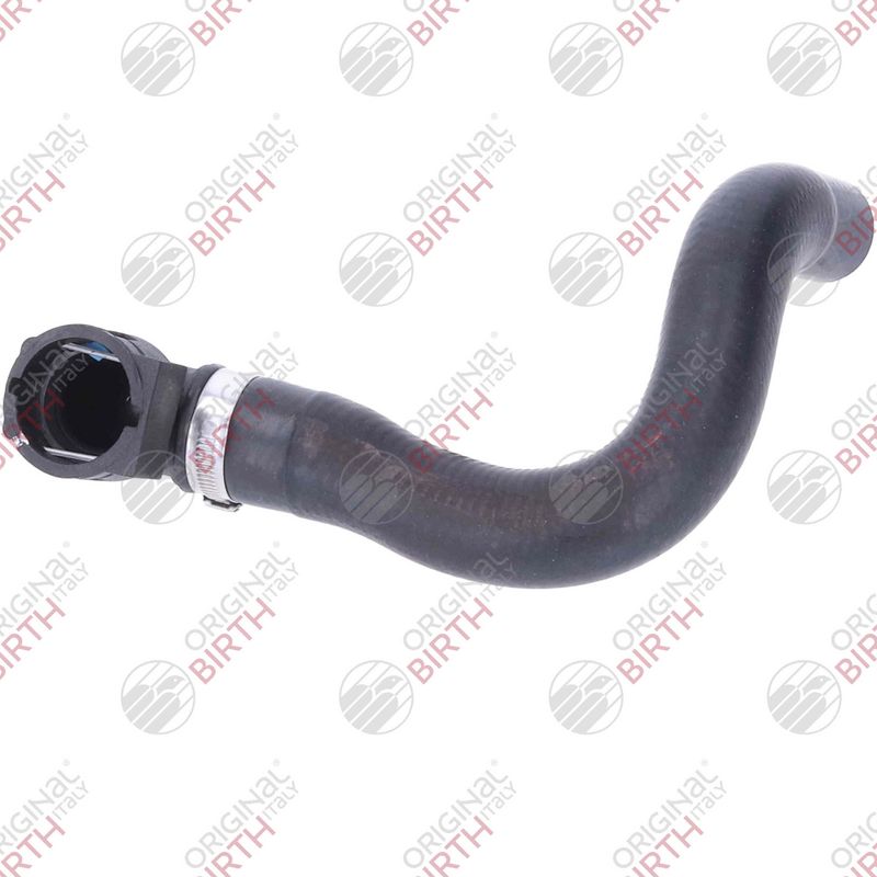 BIRTH 58083 - Radiator Hose