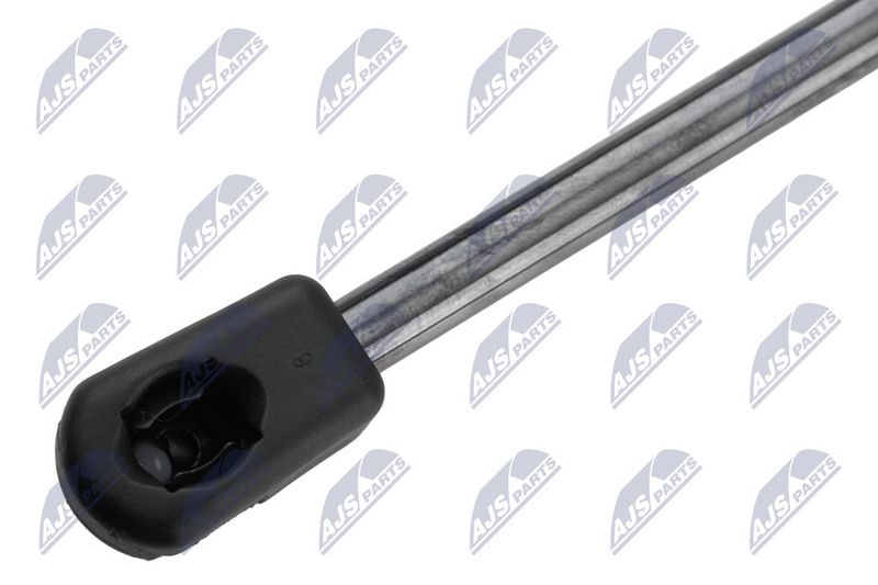 NTY AE-CH-076 Gas Spring, bonnet