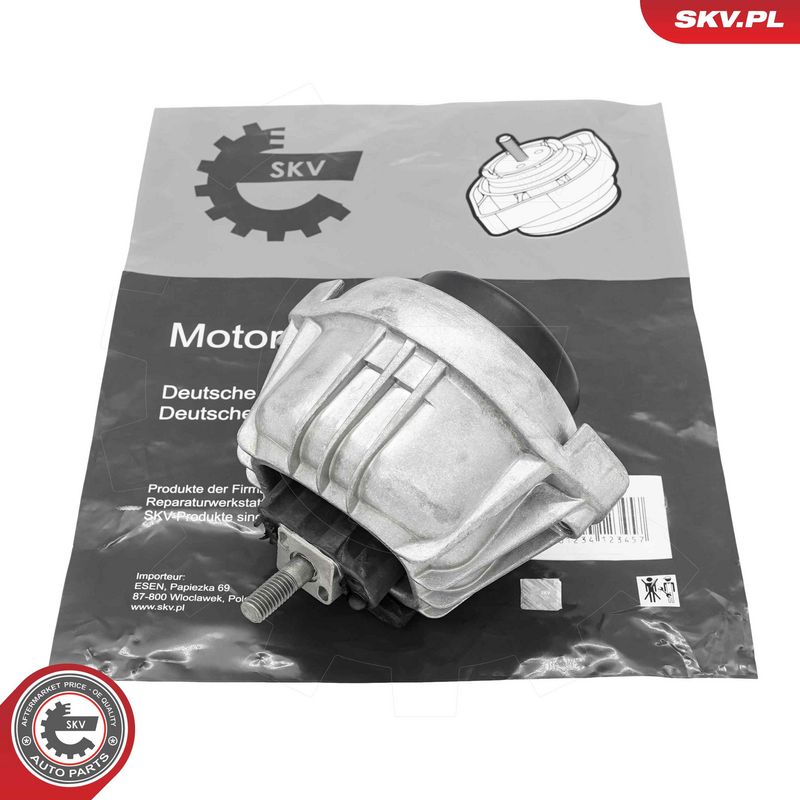 Paigutus, Mootor, ESEN SKV 75SKV246