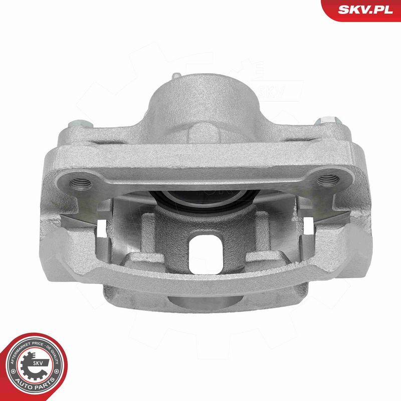 ESEN SKV 79SKV111 Brake Caliper