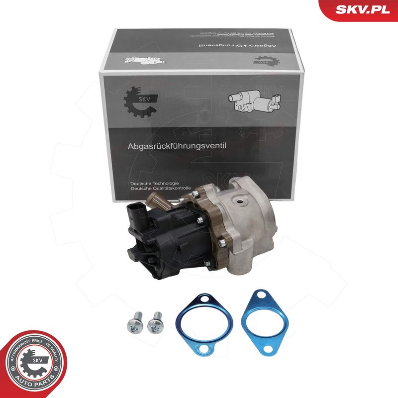 EGR-klapp, ESEN SKV 14SKV301