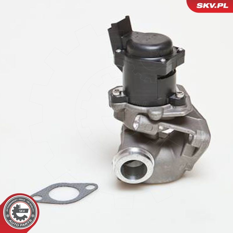 EGR-klapp, ESEN SKV 14SKV027