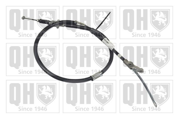 QH_BC3481.JPG
