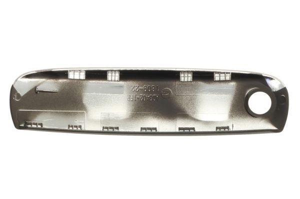 BLIC 6010-25-035402PP Exterior Door Handle