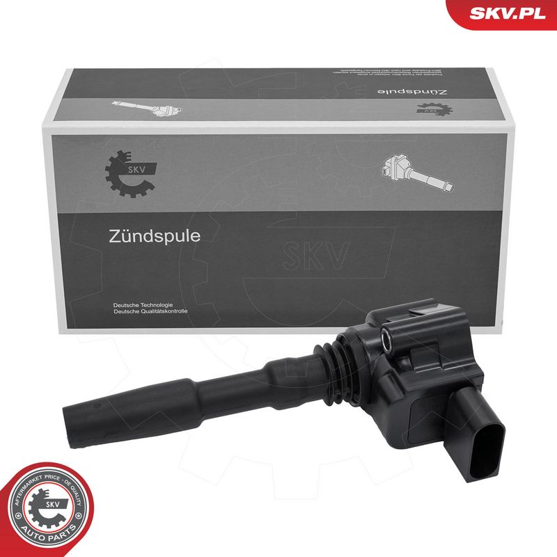 Prekės atitinka OEM kodą: 079 905 110 L