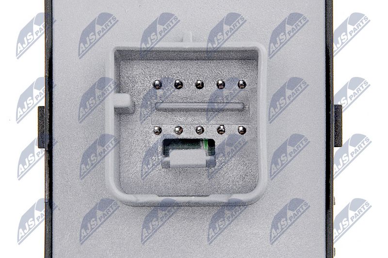 ews-vw-021_6-wm.JPG