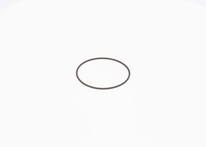 Inel de etansare F 01M 100 371 BOSCH