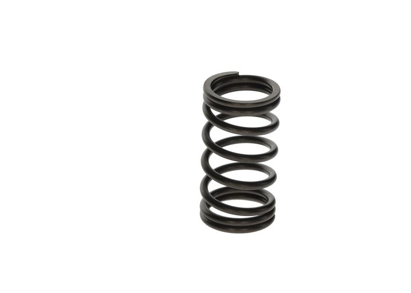 BOSCH F 00N 200 141 Spring