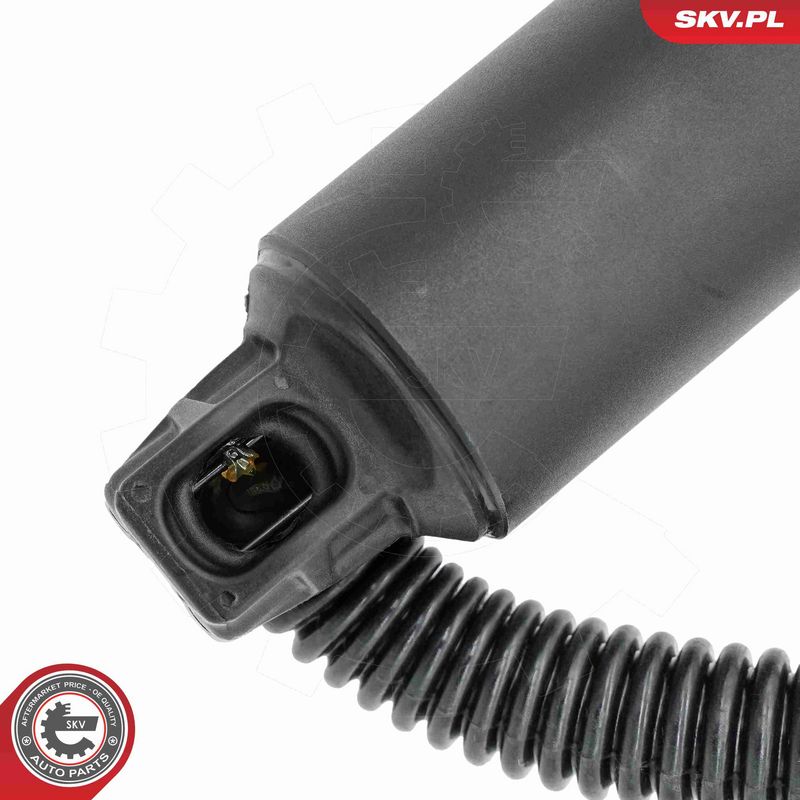 ESEN SKV 52SKV206 Electric Motor, tailgate
