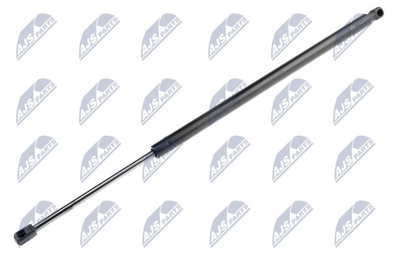 NTY AE-CH-024 Gas Spring, boot/cargo area