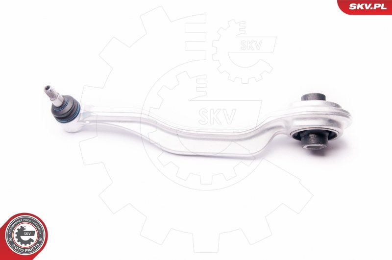 ESEN SKV 04SKV300 Repair Kit, control arm