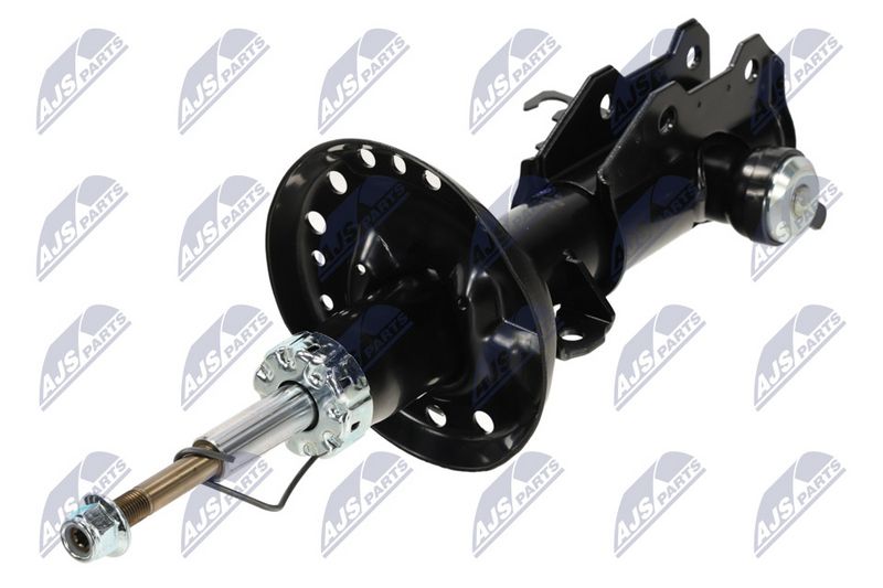 Amort, NTY A-PL-062