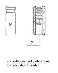 P_7.BMP