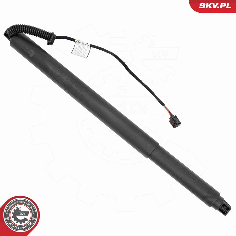 ESEN SKV 52SKV206 Electric Motor, tailgate