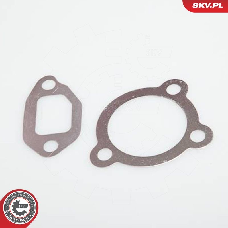 EGR-klapp, ESEN SKV 14SKV031