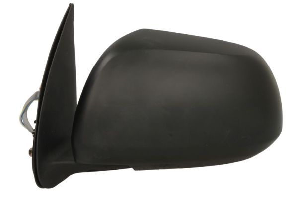 BLIC 5402-19-2002483P Exterior Mirror