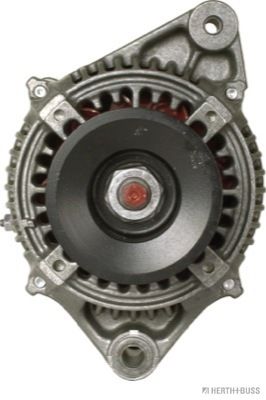 J5112095.JPG