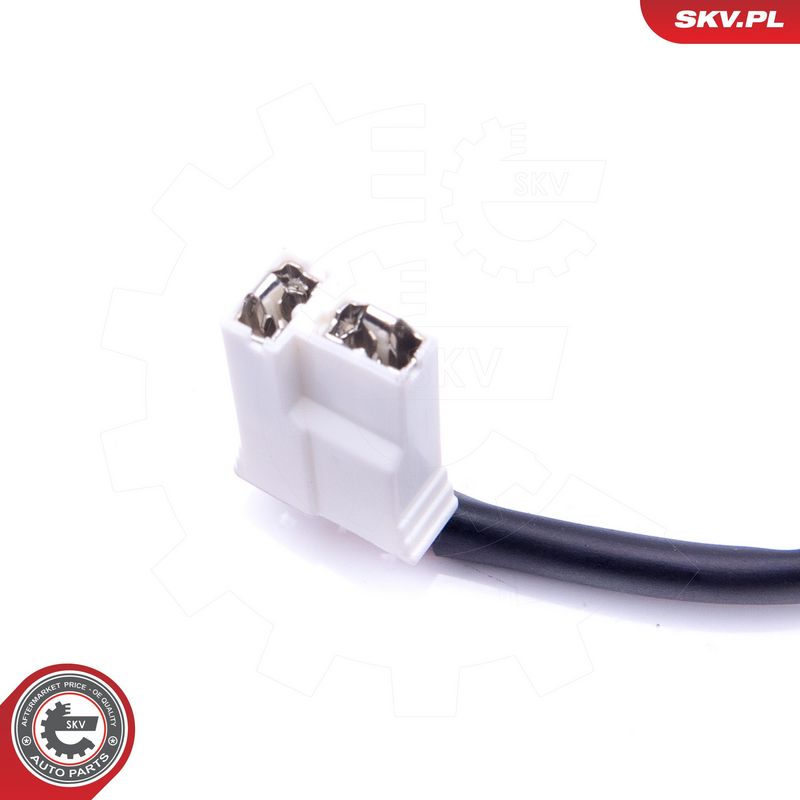 Kütus-etteanne, ESEN SKV 02SKV791