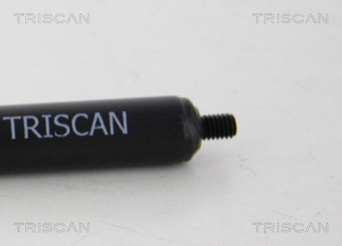 TRIS8710615201250_2.JPG