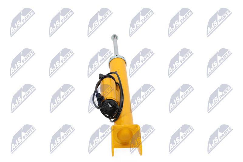 Amort, NTY A-CH-102
