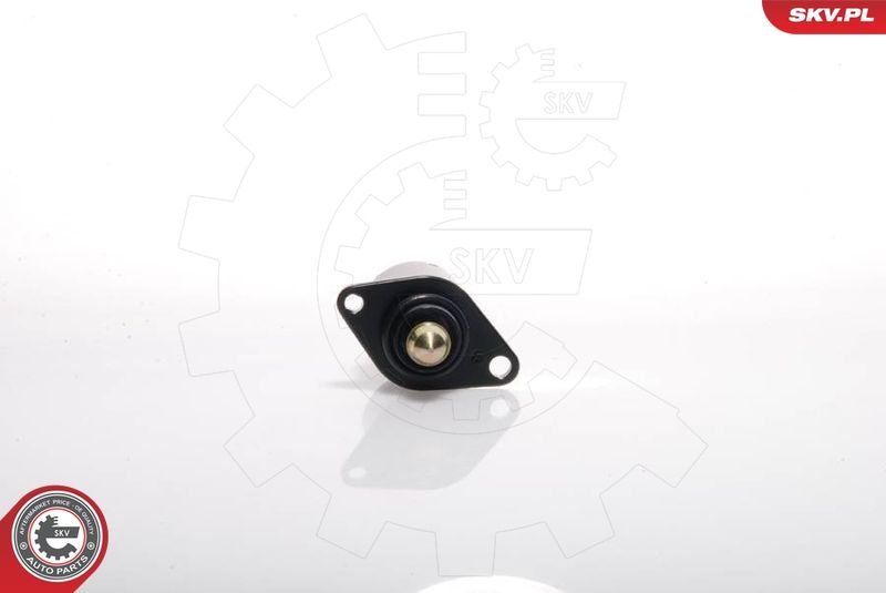 ESEN SKV 08SKV001 Idle Control Valve, air supply