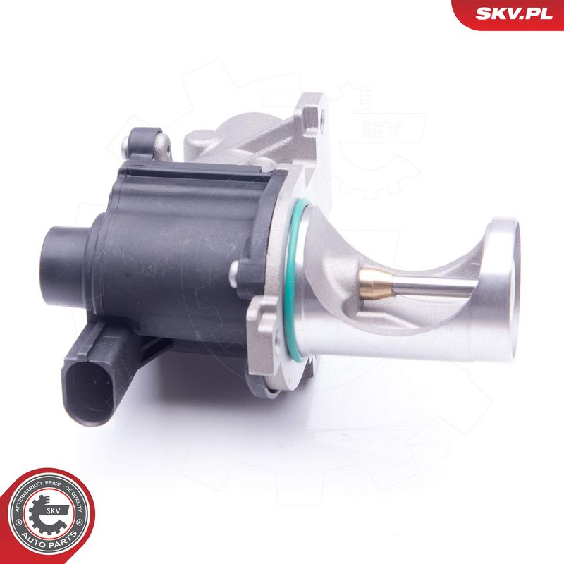 EGR-klapp, ESEN SKV 14SKV172