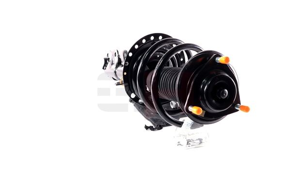 Vedruamort, GH GH-353057C01