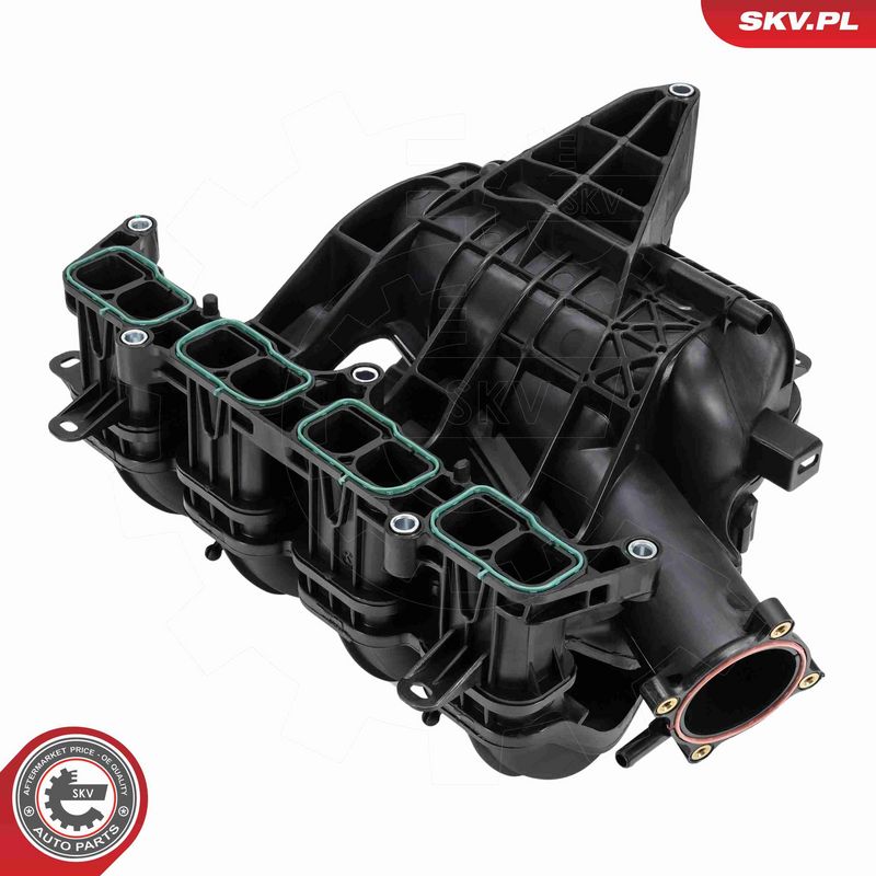 ESEN SKV 49SKV103 Intake Manifold Module