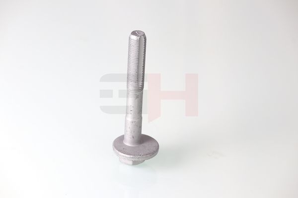GH GH-399901 Camber Correction Screw