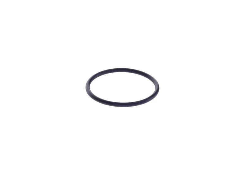 BOSCH F 00H N37 149 Rubber Ring