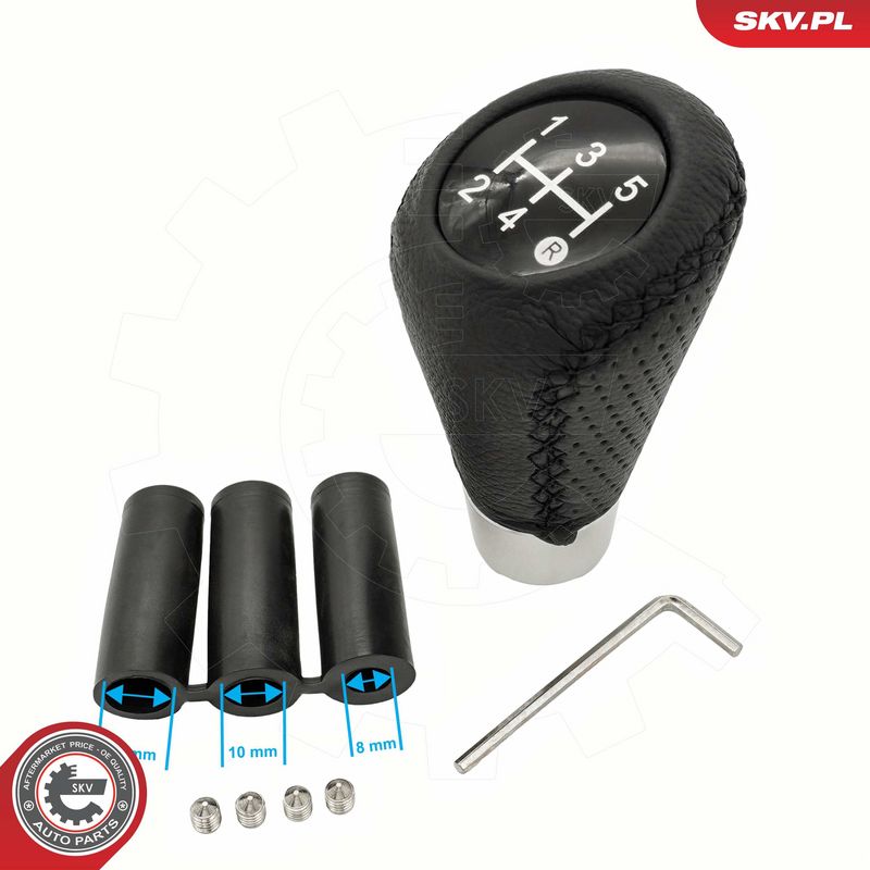 Käigukanginupp, ESEN SKV 63SKV173