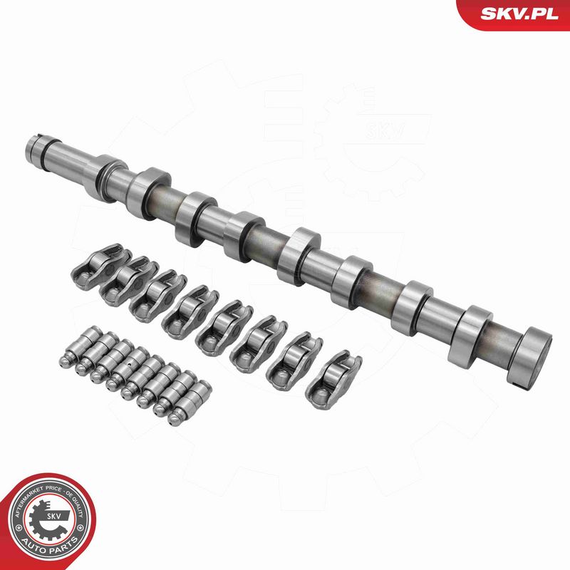 ESEN SKV 80SKV300 Camshaft Kit