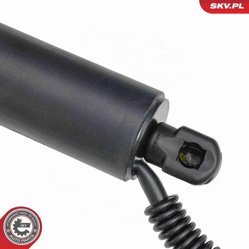 ESEN SKV 52SKV881 - Electric Motor, tailgate