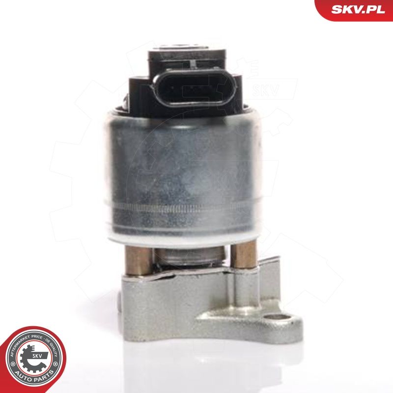 EGR-klapp, ESEN SKV 14SKV017