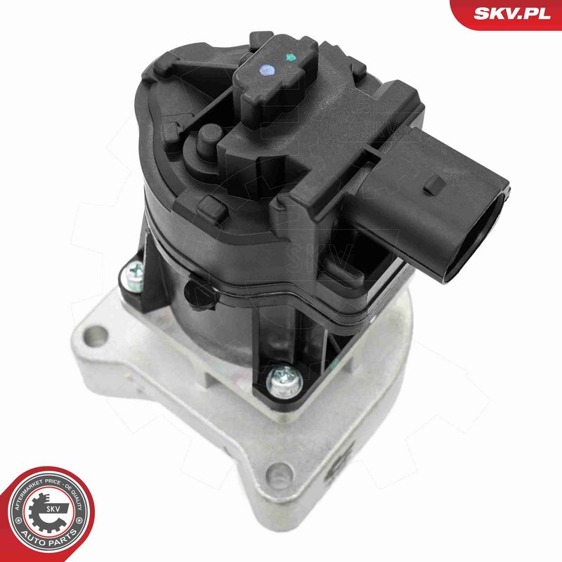 ESEN SKV 14SKV254 EGR Valve