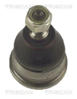 85002446.JPG