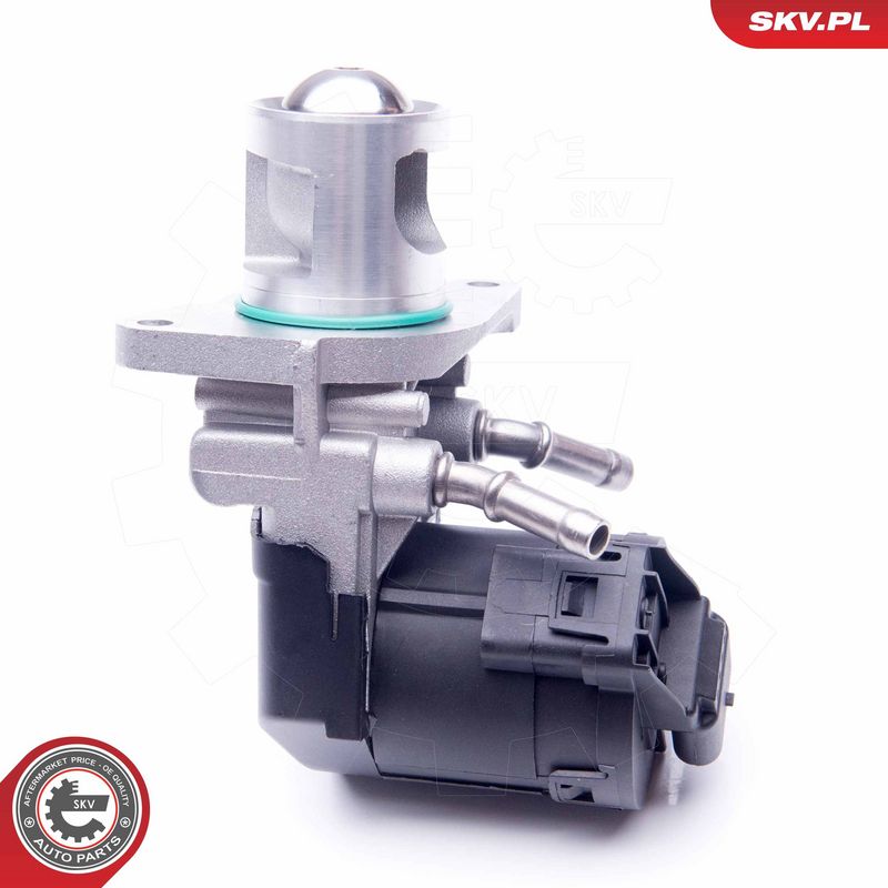 EGR-klapp, ESEN SKV 14SKV169