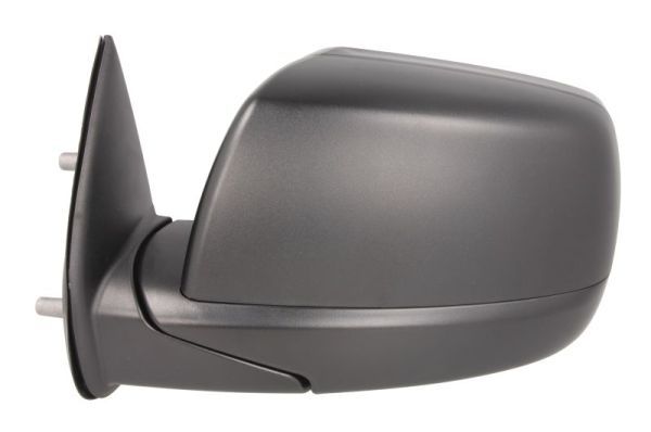 BLIC 5402-03-2001229P Exterior Mirror