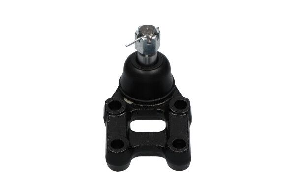 Kavo Parts Šarnyras / girgždukas