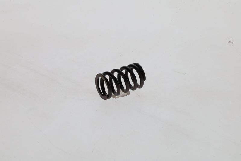 Arc 1 424 619 025 BOSCH